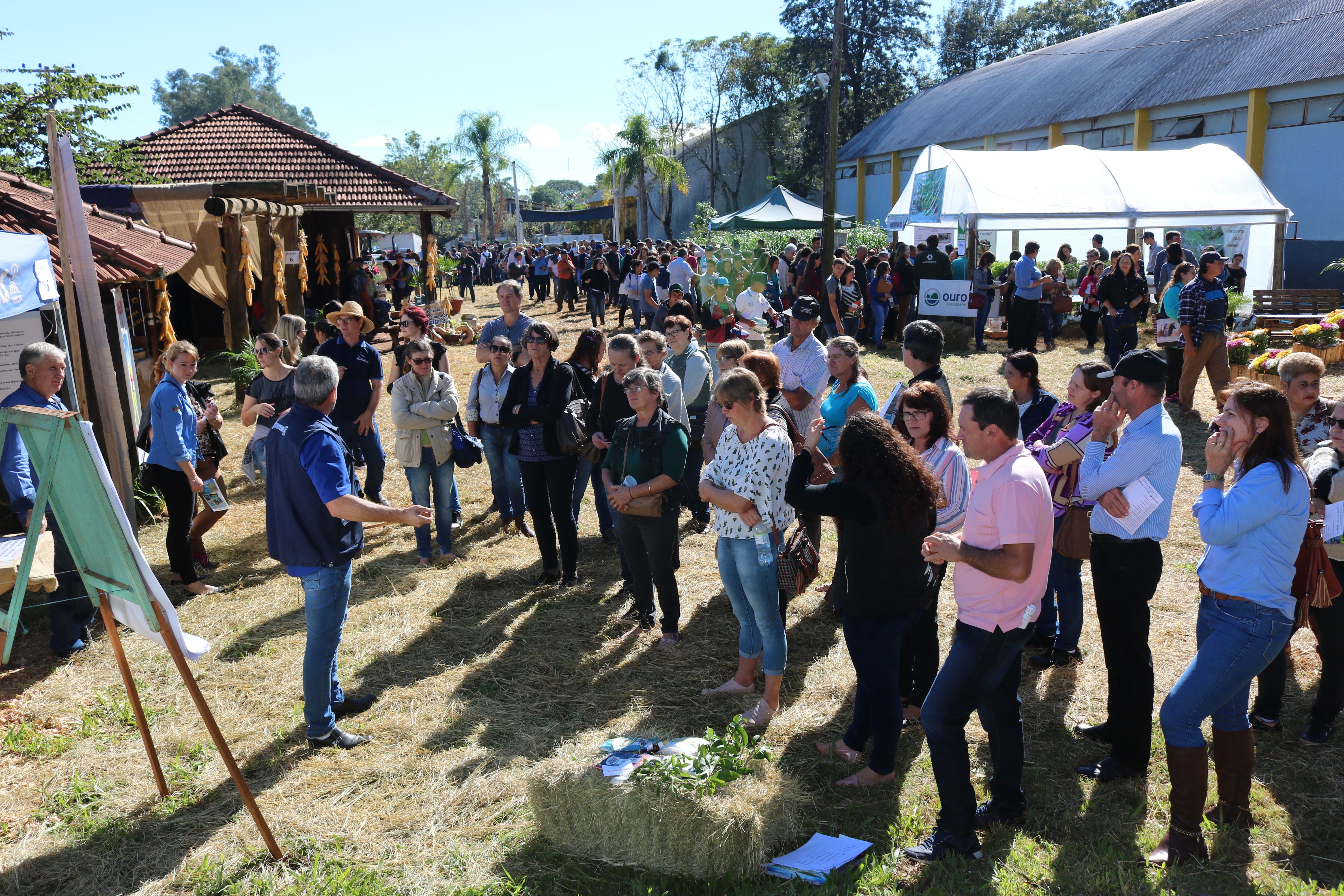 Fenamilho: Dia de Campo acontece na Mostra da Agricultura Familiar