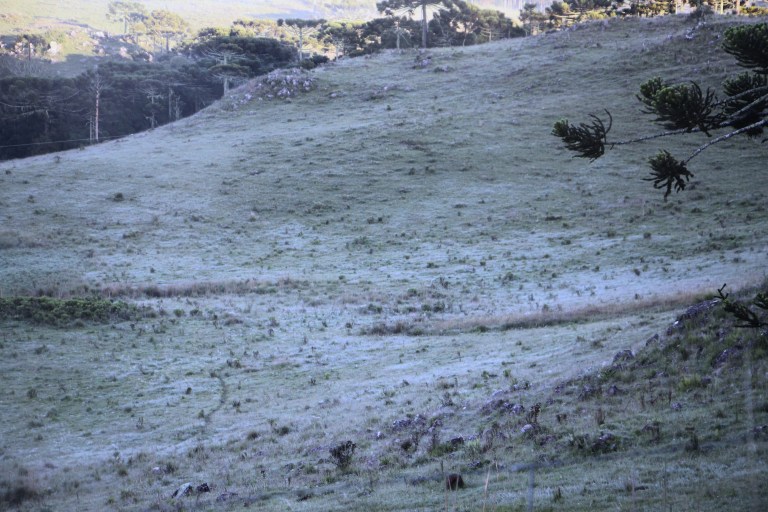 Serra Catarinense registra mais uma geada em pleno fevereiro de 2020