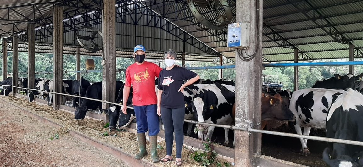 Cotrisal distribui R$ 1,7 milhão em bonificação aos produtores de leite